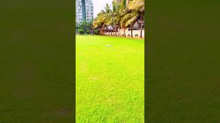 DJI Neo Critically Low Battery 🤔Landing ! #djineo #dji #djidrone #shortsfeed #youtubeshorts #viral