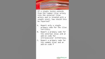 2026 CPT code changes - Contiguous Lesion