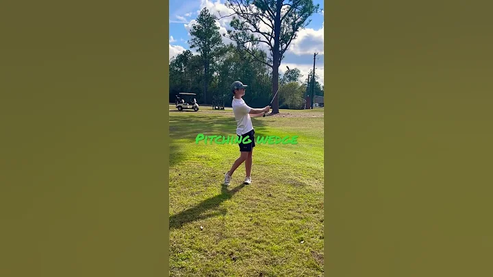 Austin chipping