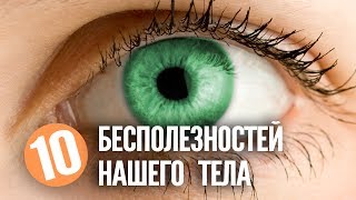 10 Самых бесполезных частей тела