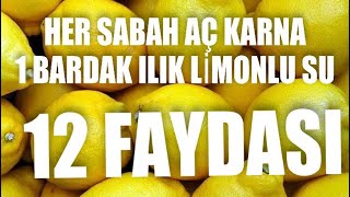 Download Limonlu Su Her Sabah Aç Karna 1 Bardak ılık Limonlu Su Içmenin 12 Mucizevi Fayda Video MP3 Limonlu Su Her Sabah Aç Karna 1 Bardak ılık Limonlu Su Içmenin 12 Mucizevi Fayda