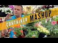 Planting mashup  container recipe mixes  proven winners with nonpw plants