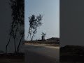 Marine Drive‚ Cox's Bazar