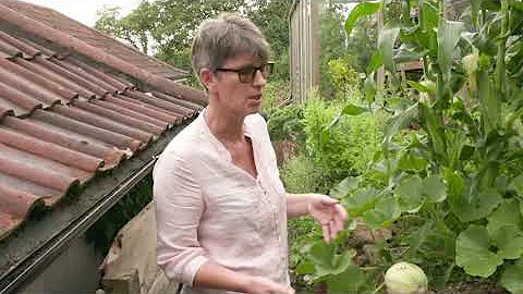 In the garden with Janet Manning