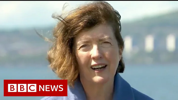 Who is Sue Gray? - BBC News