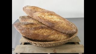料理影片#43:越嚼越香的法國麵包(使用發酵種)