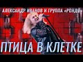 Александр Иванов — «Птица в клетке» (ТВ, 2015)