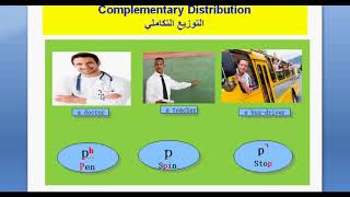 Phonology Lesson 4  comp Dist, Free Variation, Assimilation, Elision
