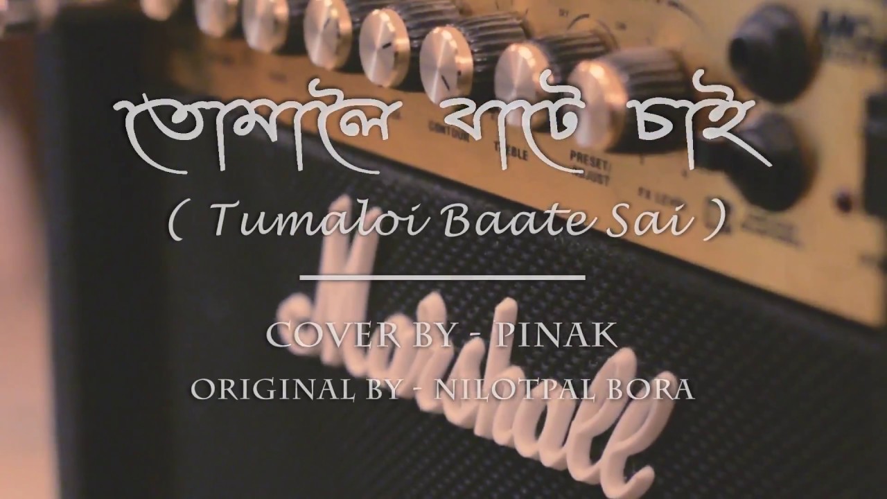 TUMALOI BAATE SAI NILOTPAL BORA   COVER BY PINAK