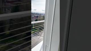 602 south view | sw facing 2x2 | Mt Rainier view