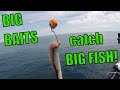 Fishing with BIG baits on the jet ski