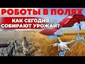 Фермерство и искусственный интеллект | Как собирают урожай с помощью компьютеров? | Андрей Даниленко