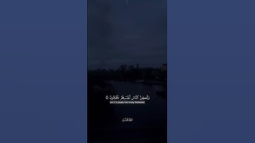 عبد الرحمن مسعد 🫀 #quran #قران #لايك #عبدالرحمن_مسعد #تلاوة_خاشعة #راحة_نفسية