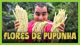 PUPUNHA: APRENDA A FAZER O CAVIAR VEGETAL E OUTRAS RECEITAS COM FLORES!