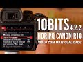 Canon r10 modor pq para vdeos  a melhor qualidade de vdeo que voc pode ter com essa cmera