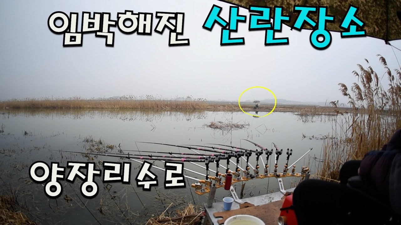 오늘내일 하는  양장리수로   시간이  아쉽기만  합니다