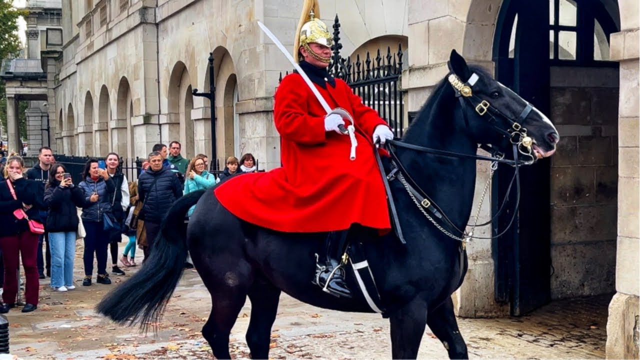 Afternoon Royal Guard's Incredible Horsemanship Shocks