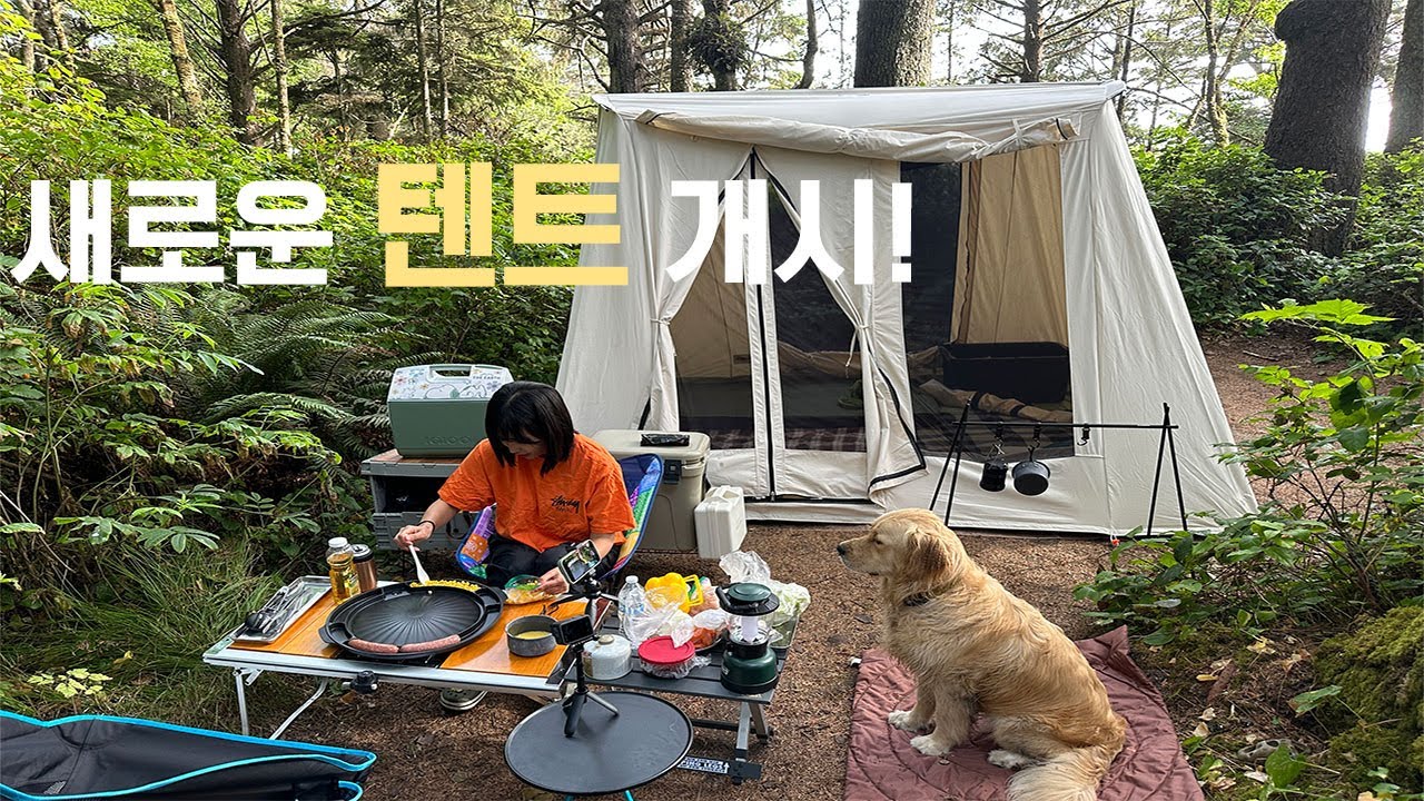 Kalaloch Beach Campground | Korean Camping Food (Dakgalbi) | Spring Bar Classic Jack 100