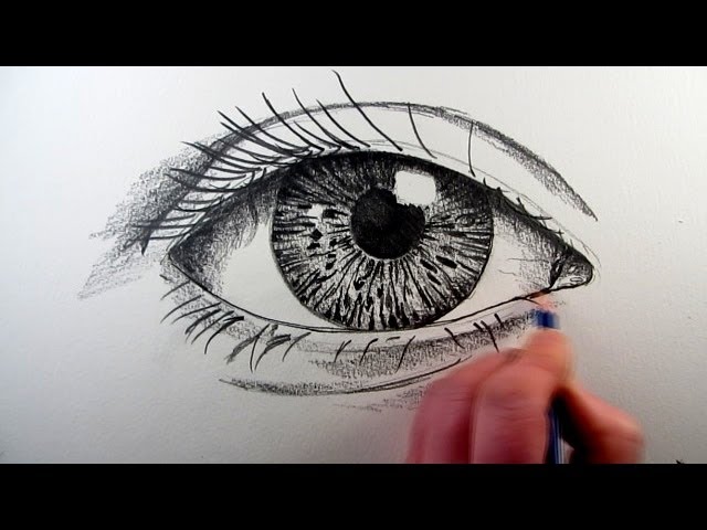 How To Draw Eyes In Pencil, Draw Eyes With Pencil, Step by Step, Drawing  Guide, by catlucker - DragoArt