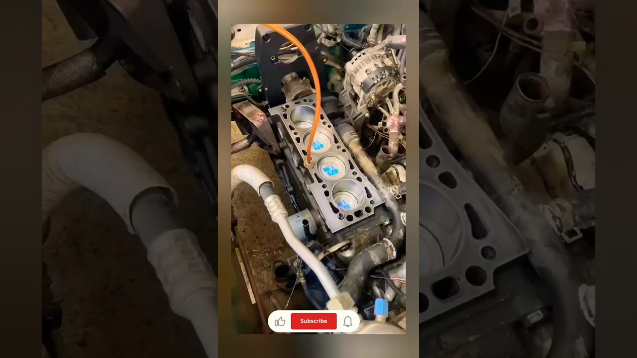 Top End Oil Flow Check🔬