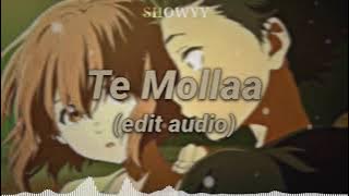 Te Molla Edit Audio