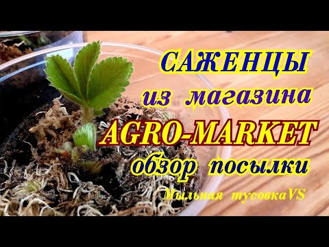 Video: Agromarket24 Onlayn Mağazasının üstünlükləri