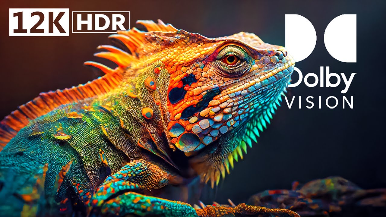 ⁣LIFE ON EARTH IN 12K HDR Dolby Vision™ 60fps