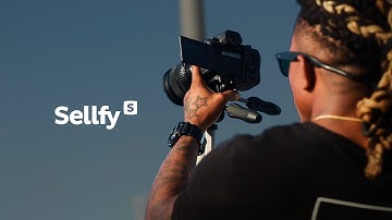 Unlock Wealth: Make Money Online as a Content Creator with Sellfy