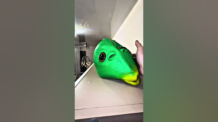 Cat mode❤️Very old videos, funny😹