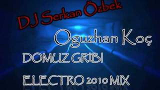 DJ Serkan Özbek Ft.Oguzhan Koç - Domuz Gribi ( 2O1O Electro Demo Mix ) Resimi