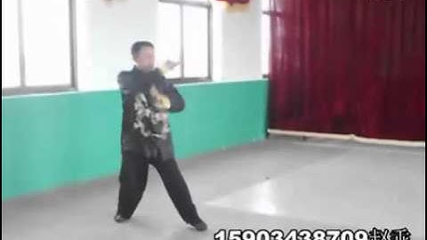 Zhao Chuanhui (赵川辉), Song Shi Xingyi Quan (宋氏形意拳)
