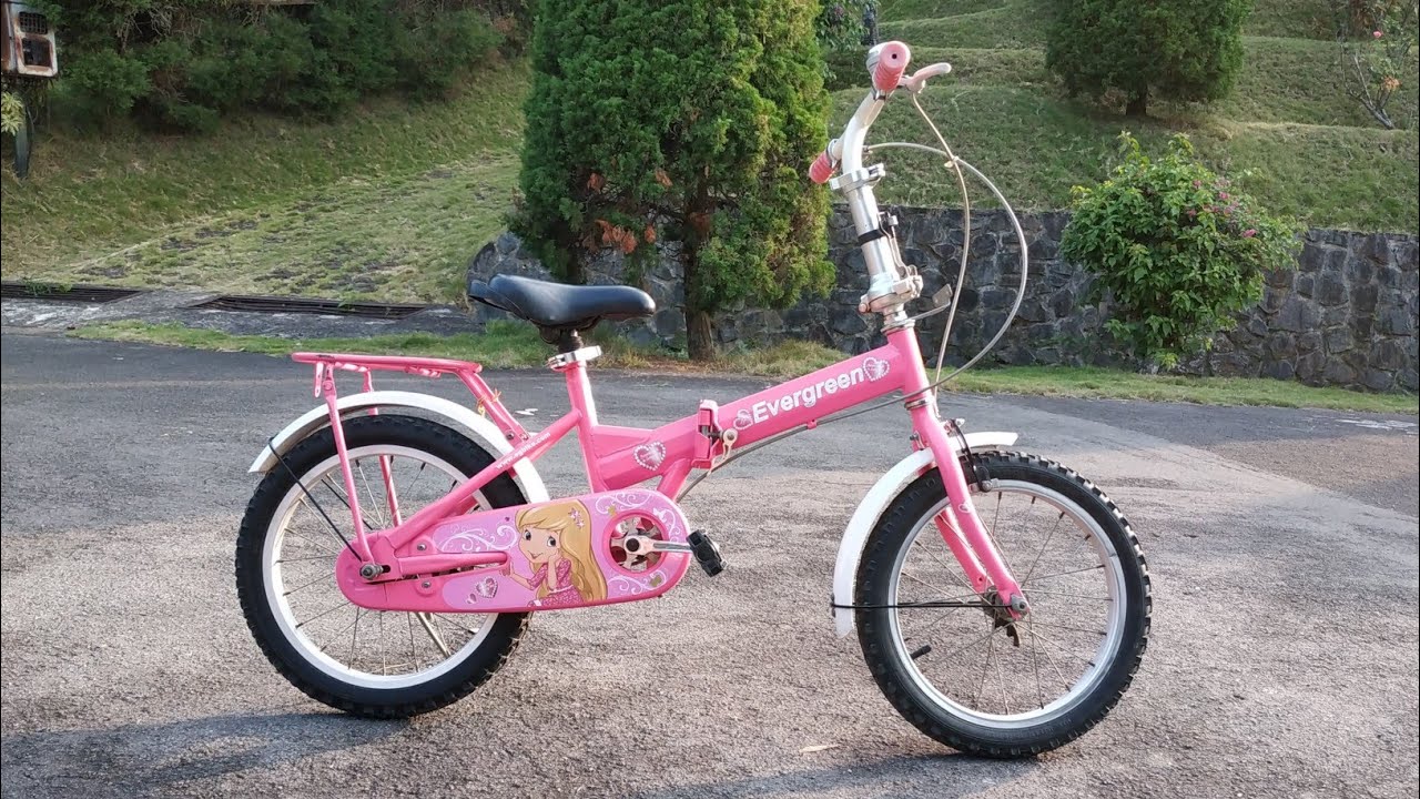 Rekomendasi SELI Sepeda Lipat Anak Bagus dan Murah