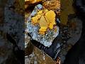 "Crystal Hunting in the River! Unexpectedly, the Prices Are Very High!" 😱#crystalstone #rarecrystal