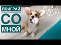 😱ПОЧЕМУ Я НЕ РАБОТАЮ?что я подарила Саше на др / Щенок гавкает без причины😬