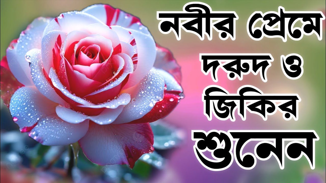 এই বছরের ৩টি দরুদ ও জিকির গুলো শুনেন কন্ঠ মোঃ হাফিজুর রহমান বছরের সেরা জিকির ও দরুদ ২০২৫