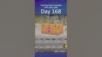Opening Cases everyday until I unbox a gold | Day 168 #cs2 #caseopening