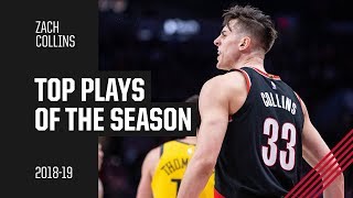 Zach Collins 2018-19 Season Highlights