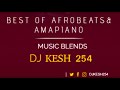 BEST OF AFROBEATS & AMAPIANO MIX DJ KESH 254 FT SHU, AMANIKINIKI ,MOYO ,TERMINATOR ,COSTA TITCH