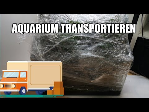 Video: Wie Transportiert Man Ein Aquarium