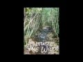 Venture the Wild!