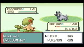 Emerald Catching Part 1: Quest for Surf Pichu Egg! (Catching 1499 Pokémon for Pokémon Box)