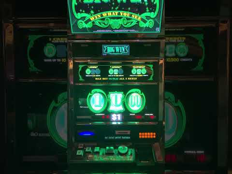 @lasvegas1Vegas Silverton Casino Lodge las vegas enero 2024