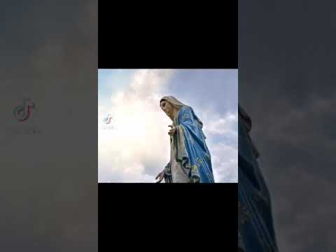 راح اوصف في شخصك يا ست البنات