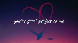 P!nk - F**kin' Perfect (Lyric Video)