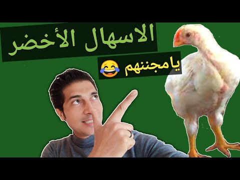 كيف تعالج الاسهال الاخضر بحكمه د سامح عسل
