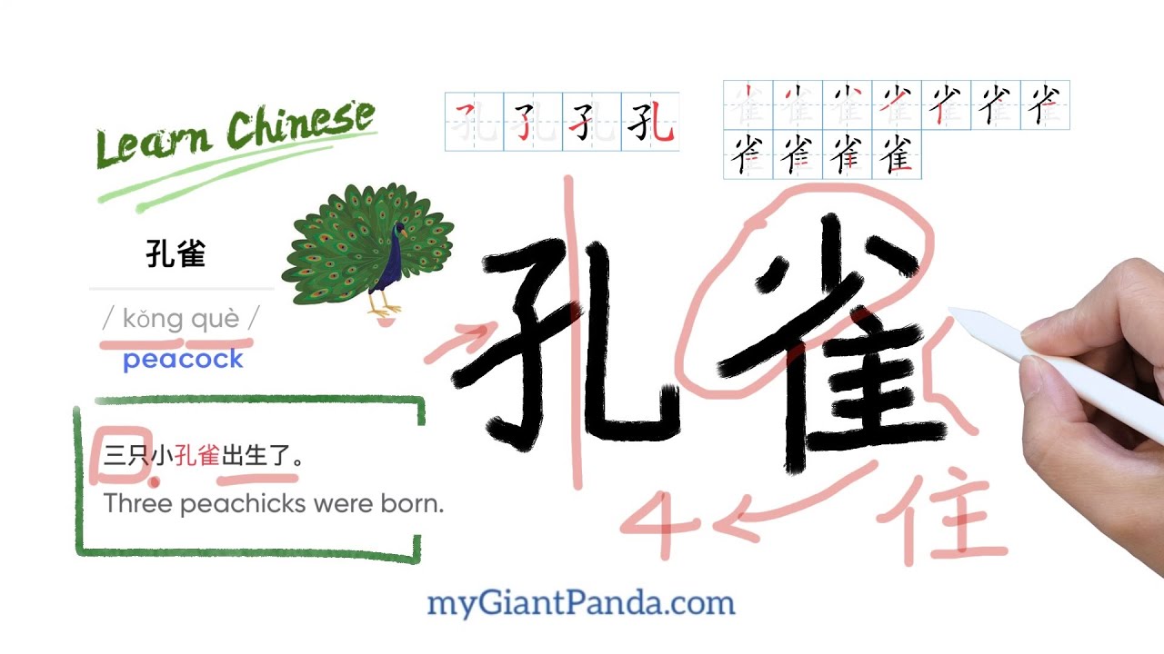 学汉字【孔雀, kǒng què, peacock】How to Write Chinese 学写中文-动物,禽类 Chinese ...
