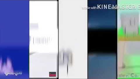 37 Shuric Scans With Are Slides