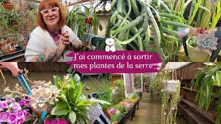 Jai commencé à sortir des plantes de la serre 🌵Et les floraisons avancent très bien🌸