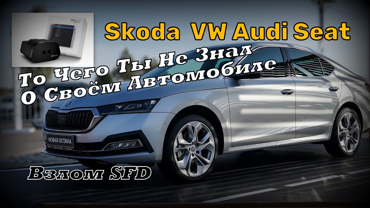 Skoda: Инфа Из Недр Твоего Авто. Прошивка, Кодировка, Записи. Работа с ...