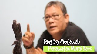 CARA JITU Rawatan Harian Murai Batu Bersama BANG BOY BnR